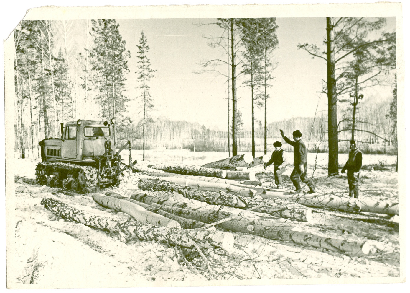 архивные фотографии. Каменский район