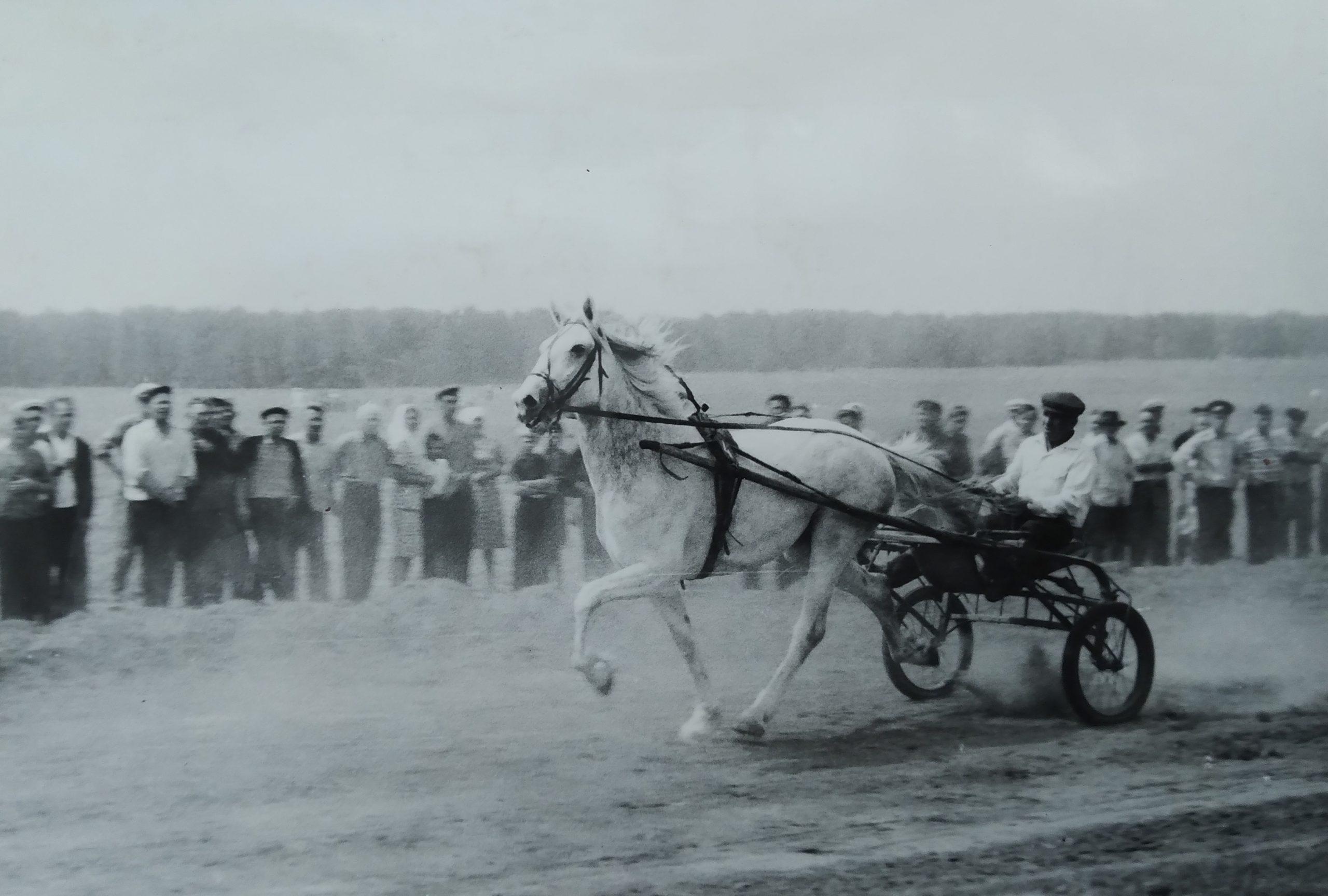 архивные фотографии. Каменский район