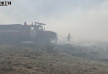 Жителей Алтая могут оштрафовать на 20 тысяч рублей за приготовление шашлыка на природе