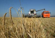 Объём федеральной поддержки для аграриев увеличен