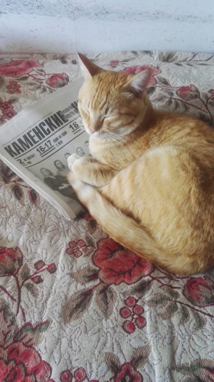 Мой ласковый и нежный зверь