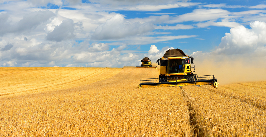 Россельхозбанк