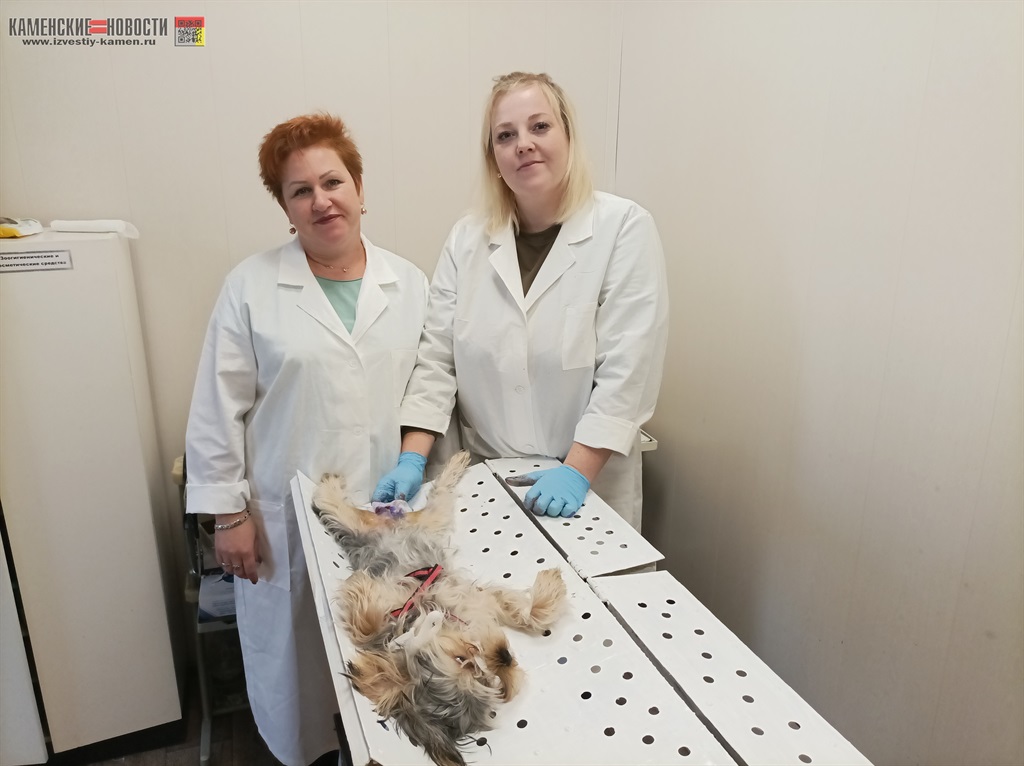 ветеринары