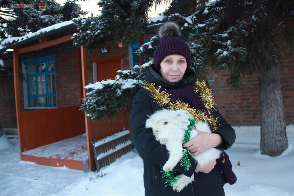 кролик - символ Нового года